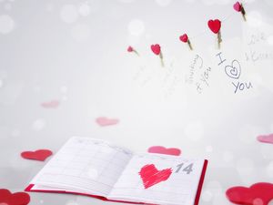 2.14 Valentine's Day diary background picture
