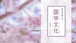 Schöne warme Kirschblütenverzierung der chinesischen Kulturförderungs-Kursunterlagen-PPT-Schablone