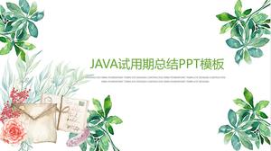 Modello ppt di riepilogo periodo di prova Java