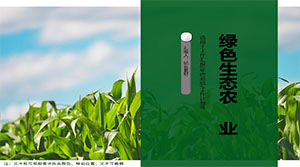 宣傳綠色生態農產品的ppt模板