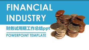 Financial trial period work summary ppt