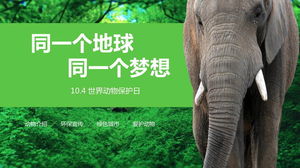 以森林大象為背景的世界動物日主題班會PPT模板