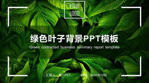 Download gratuito del modello PPT di foglie verdi delicate