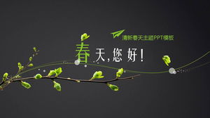 Spring hello PPT template with simple green branches background