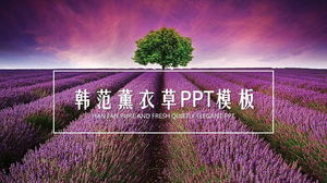 Descărcare gratuită a șablonului PPT de fundal de lavandă violet
