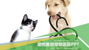 Szczeniak kotek tło szablon PPT dla zwierząt
