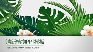 緑の広い葉の植物の背景PPTテンプレート無料ダウンロード