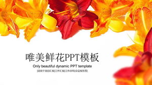 Descarga gratuita de la hermosa plantilla PPT de fondo de flores brillantes