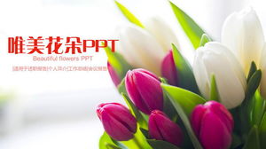Bunga tulip yang indah latar belakang template PPT universal unduh gratis