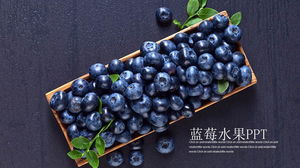 Unduhan gratis template PPT blueberry buah ungu