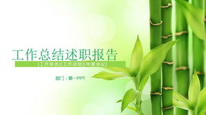 Templat PPT laporan ringkasan kerja latar belakang bambu segar