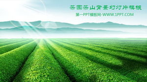 Modelo de PPT de jardim de chá de chá verde de montanha de chá verde