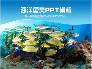 เทมเพลต PPT สำหรับโรงเรียนสอนปลาโลกใต้น้ำที่สวยงาม