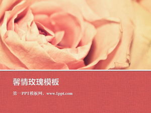 Șablon de prezentare de diapozitive botanice cu fundal roz romantic cu flori de trandafir