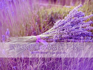 Descărcare șablon de prezentare de diapozitive cu plante de fundal romantic violet lavandă