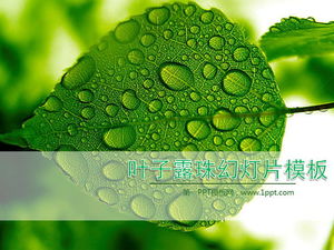 新鮮な緑の葉と水滴の背景と植物のスライドショーテンプレートのダウンロード