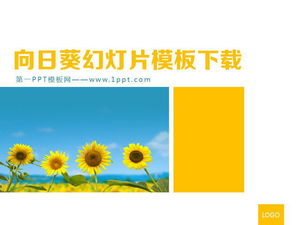 Unduh Templat PowerPoint Tanaman Latar Belakang Bunga Matahari