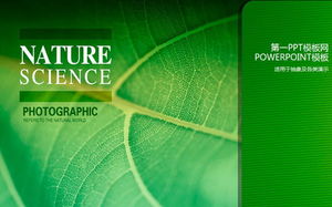 파워포인트 템플릿 - 생명의 녹색 녹색 식물