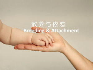 Download de slides do PowerPoint sobre paternidade e apego do bebê