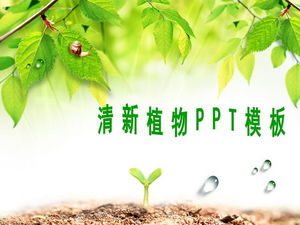 Download de modelo de PPT de fundo de folhas frescas