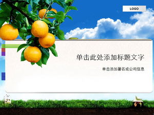 Download del modello PPT del tema della frutta della pianta di sfondo arancione