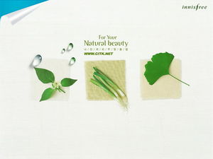Koreanischer PPT-Vorlagen-Download mit Gemüsepflanzenhintergrund