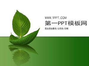 Simple leaves background plants PPT template download
