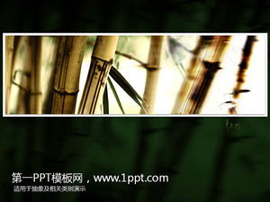 Elegante Bambus-Spaß-Slideshow-Vorlage herunterladen