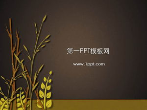 Download de modelo de apresentação de slides de plantas de fundo de arroz e trigo