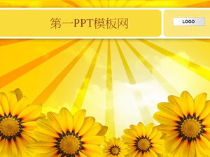Unduhan template slideshow latar belakang bunga matahari