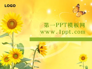 Sunflower butterfly flying PPT template download