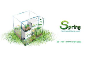 Șablon PPT cu plante proaspete și elegante de primăvară