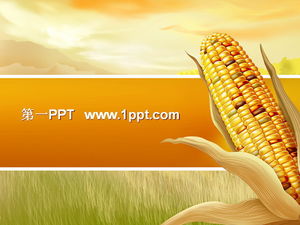 Modelo de PPT de fundo de milho de alegria de colheita