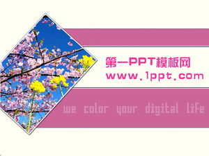 Download de modelo de PPT de fundo de pêssego rosa