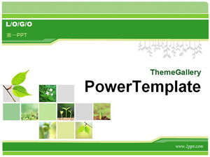 Download de modelo de PPT de fundo de planta verde clássico