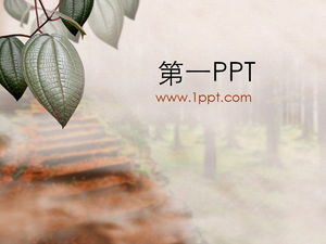 나뭇잎 배경 PPT 템플릿 다운로드
