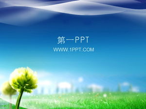 Blauer Himmel und grüne Graspflanzen PPT-Vorlage herunterladen