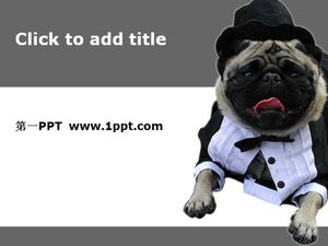 Download de modelo de PPT de arte de cachorrinho fofo
