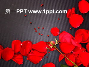 Descarga de plantilla PPT de rosa roja de amor