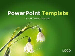 Green plant flowers background PPT template download