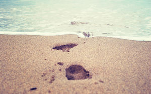 자연 모래 해변 발자국 발자국 PPT 배경 그림