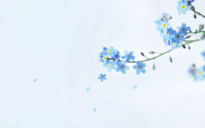 青の美しくエレガントな小さな花PPT背景画像