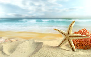 沙滩海星贝壳PPT背景图片