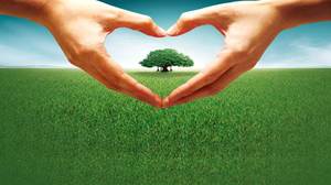 Fundo de PPT de natureza de amor verde