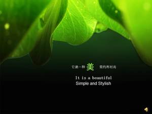 美しい緑の自然PPT背景画像