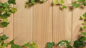 Natural wood board vine PPT background picture