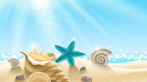 Plaj kabuğu deniz yıldızı PPT arka plan resmi