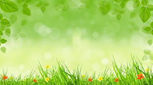 Immagine di sfondo PPT di erba verde