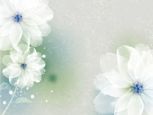优雅柔和的花朵PPT背景图片
