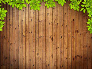 16 gambar latar belakang efek serat kayu PPT